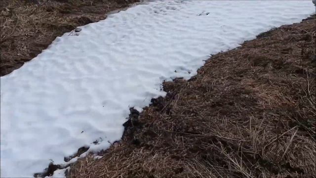Природный холодильник. смотреть онлайн
