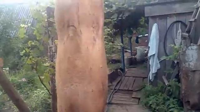 свинья смотреть онлайн