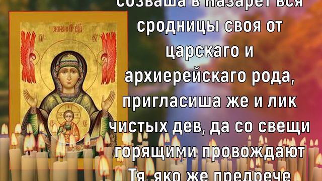 ПРОСТО СКАЖИ БОГОРОДИЦЕ НА СЧАСТЬЕ! И КОНЕЦ ВСЕМ ПРОБЛЕМАМ! смотреть онлайн