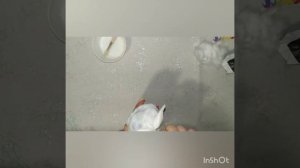 Мастер-класс класс Сова из ваты. Сова своими руками.