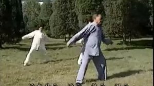 Hunyuan Taichi 24 - Feng Zhi Qiang