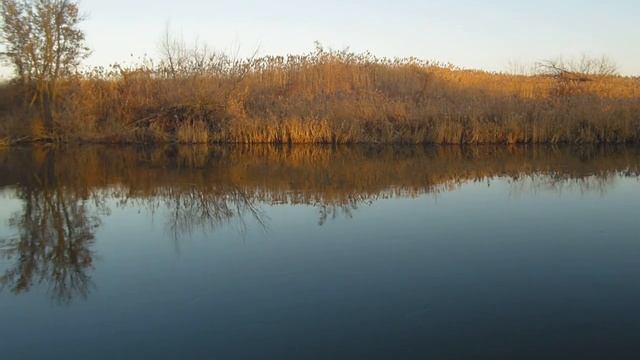 Береговая рыбалка на спиннинг смотреть онлайн