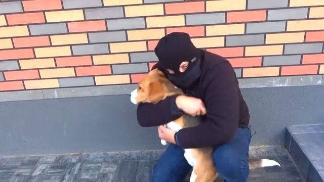БРАТЬЯ НАРВАЛИСЬ НА НЕПРИЯТНОСТИ. БРОС ШОУ