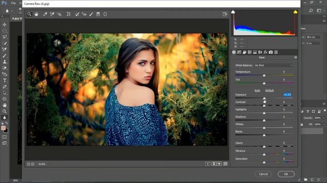 PHOTSHOP Tutorial | CC 2017 | Camera Raw Filter | Imagenomic Potraiture | How to edit phot смотреть онлайн