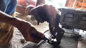 Dacia Solenza обслуживание тормозов