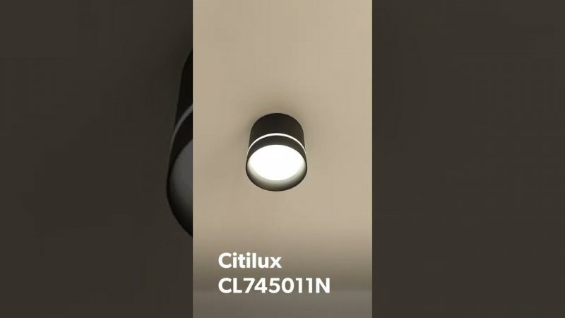 Citilux Борн CL745011N