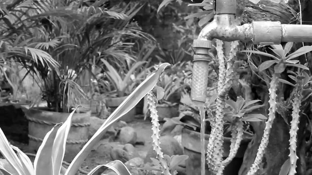 Canon 1100d Video output. смотреть онлайн