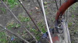 Подготовка картофелекопалки для самодельного мини трактора