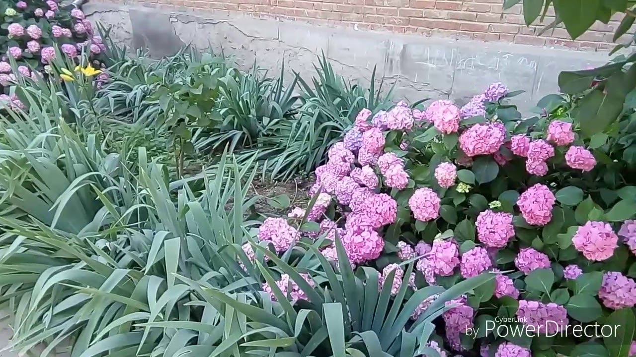 Новости Горячего Ключа 19.06.2019