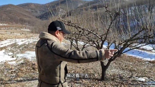 吉林省农村一处生态园，除厂房建筑外带25公顷山林，鬼哥实地看房谈价【鬼头看房】 смотреть онлайн