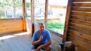 Московская сторожевая. Как научить собаку команде сидеть. Самый простой способ | ПАПА В ДЕЛЕ