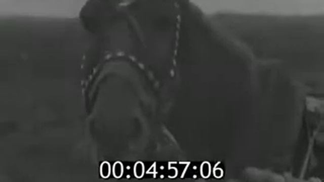 Выпуск посвящен похоронам Маршала Советского Союза В И Чуйкова 1982г смотреть онлайн