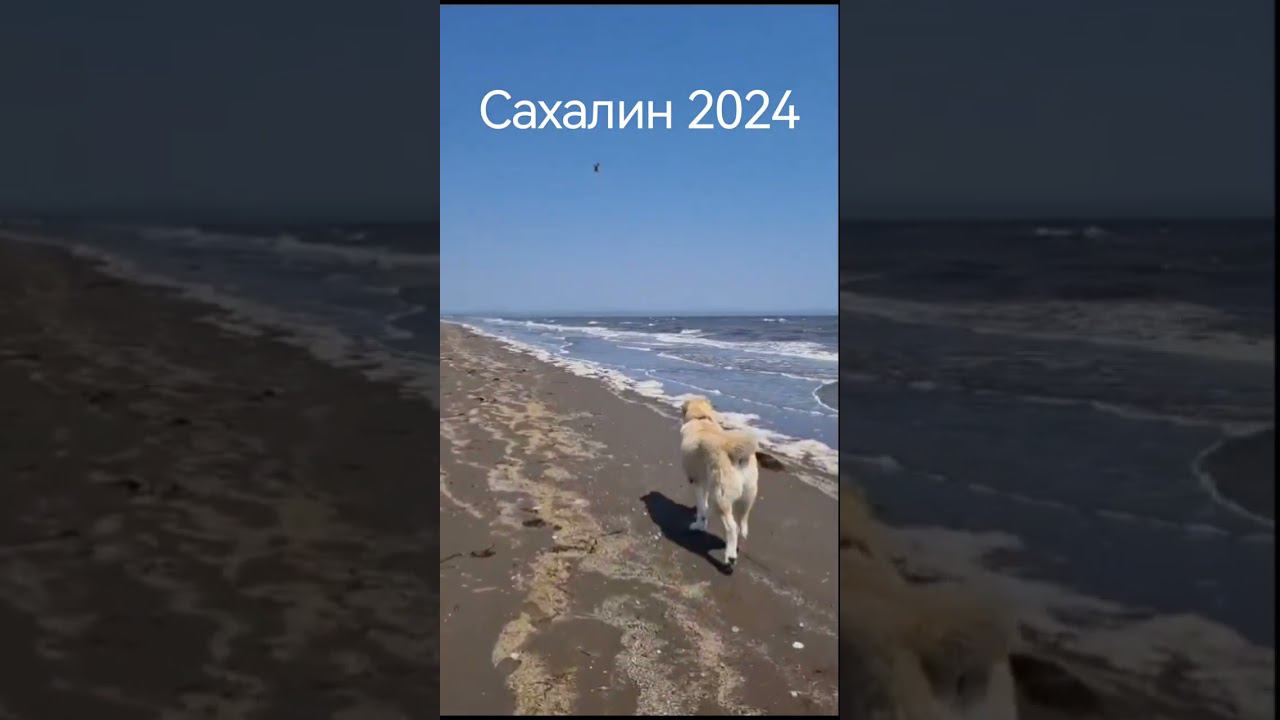 Привет от Мансура с Сахалина. Малыш подрос немножко!! смотреть онлайн