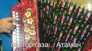 сектор газа...Атаман