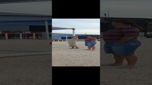 Погода на азовском море станица должанская, 29. 08. 24.