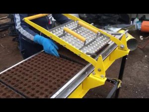 Посев капусты в кассеты (Стол посевной СП-1 с Маркером МКР-144 и Сеялкой СКР-144N)