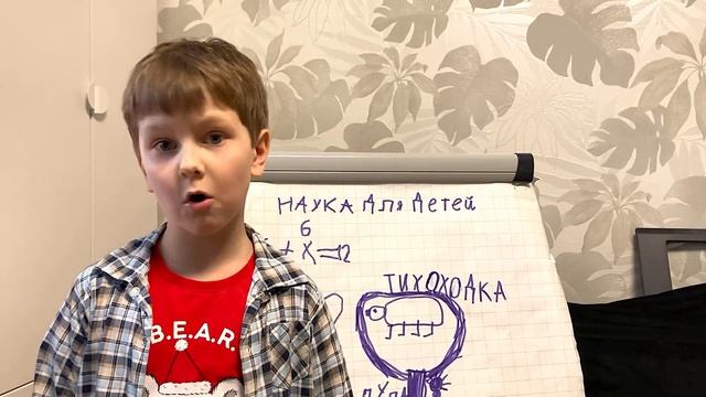 Выпуск 2 Кто такие тихоходки?
