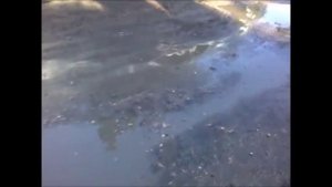 От автовокзала к Ж/Д вокзалу