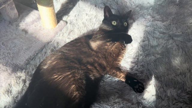 Filling up my tank смотреть онлайн