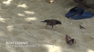 Ко Чанг Cliff Beach Resort