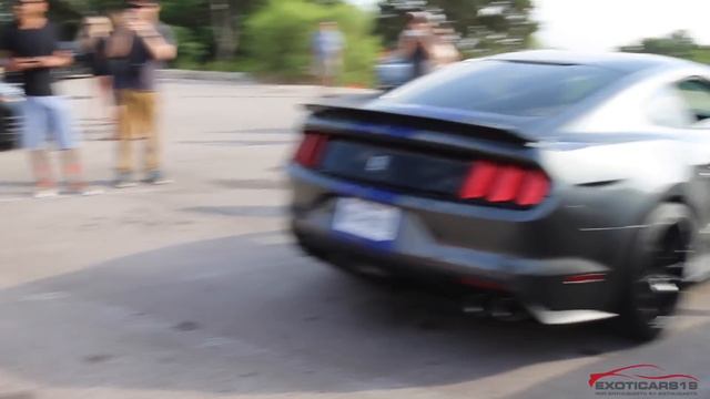 Small Rev Battle - 2016 Ford Mustang Shelby GT350 vs 2015 Mustang GT смотреть онлайн