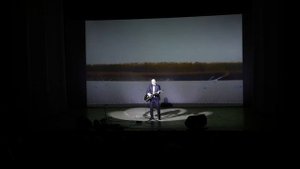 "Гуси-Лебеди"- Анатолий Топыркин