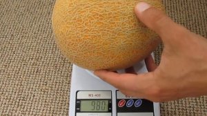 Амал - самый вкусный сорт дынь в 2017 году