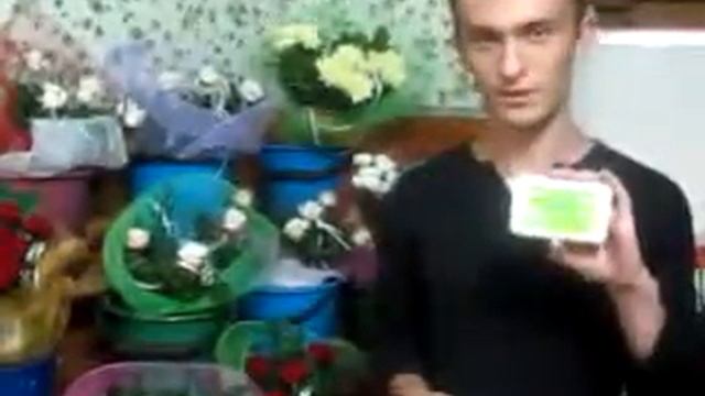 Как продлить жизнь цветам. Решение есть! смотреть онлайн