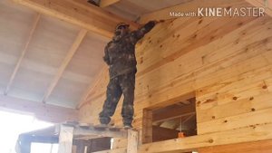 Защита сруба естественной влажности льняным маслом