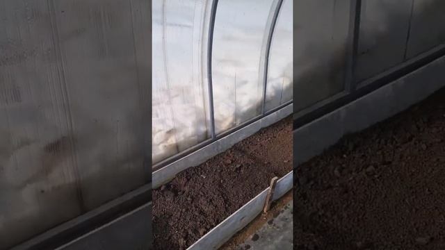 Перекопал теплицу после зимы #теплица #парень_из_сада #дача #огородники