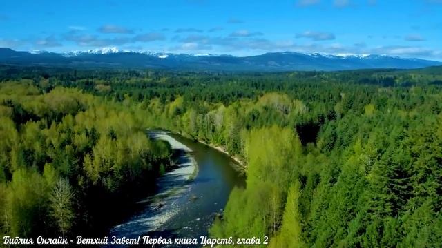 Библия Онлайн - Первая книга Царств, глава 2 смотреть онлайн