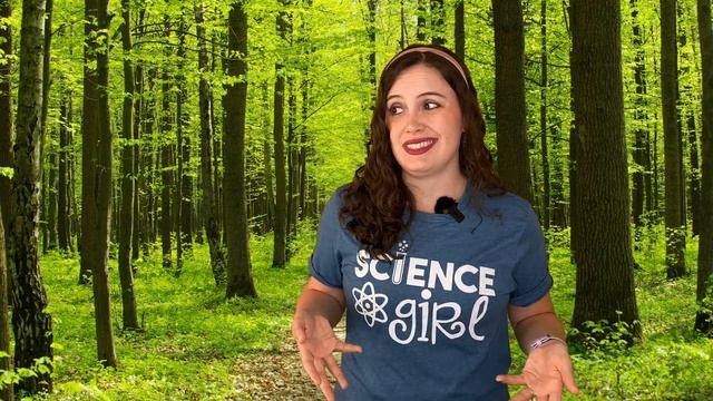 The Largest Living Thing on Earth | Nature Education Videos for Kids смотреть онлайн