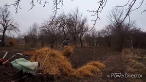 Мульчирование малины осенью.