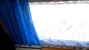 Продажа прицепа Niewiadow n126n