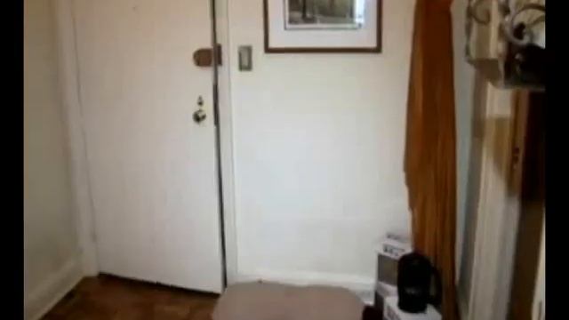 Мойка Paw Plunger Лапомойка большая