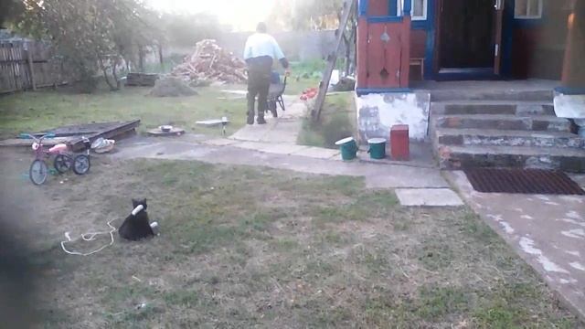 Девушка упала смешно с тачки смотреть онлайн