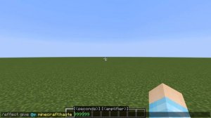 Minecraft 1.17.1: How to make an potion effect last forever