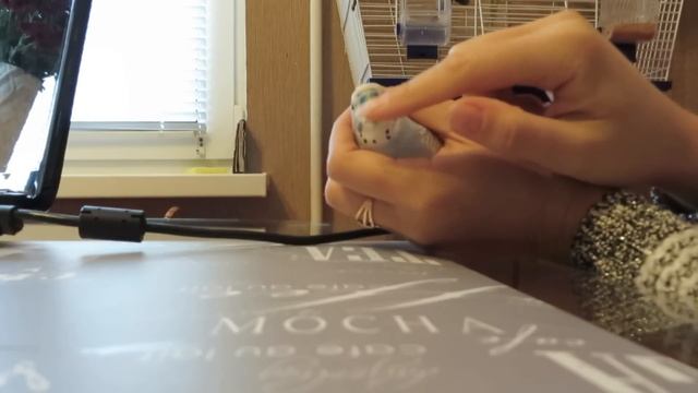 Как поймать попугая! Попался который кусался! Главное его отвлечь