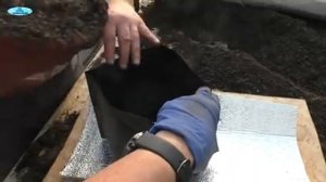 "Хитрый" способ посадки сладкого перца! Вы ещё ТАК не пробовали?!(проверено!!!)