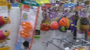 ОТНЕСЛИ КОТА НА СТРИЖКУ! СТАЛ ЛЫСЫЙ