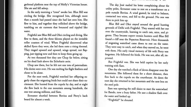 Audio Chapter 17 Frightful Feels the Call to the Sky ( Monday 3/30) смотреть онлайн