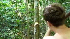 Primitive Technology- Stone Adze