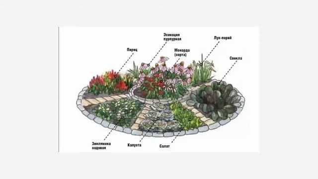 СХЕМА КЛУМБЫ КРАСОТА ПЛЮС ПОЛЬЗА смотреть онлайн
