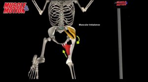 Weighted walking lunge kettlebell