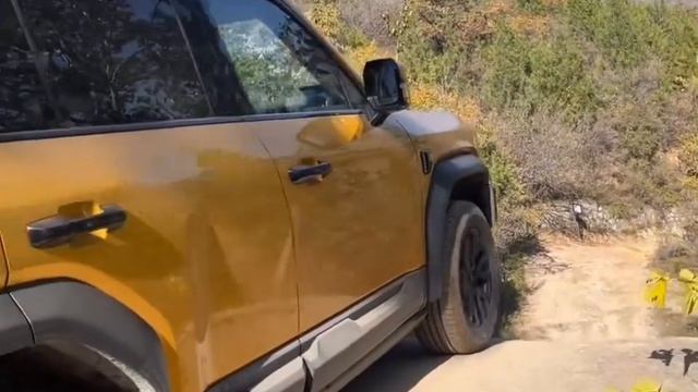 Leopard 5 - BYD - 38 degree slope test смотреть онлайн