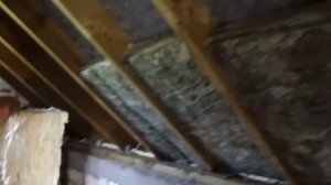 Ursa Terra vs Ursa Geo