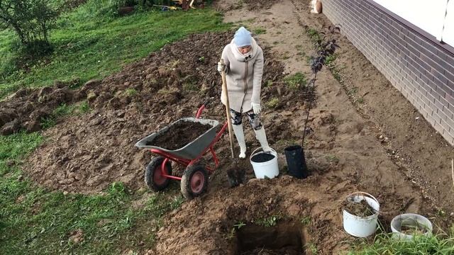 Посадка деревьев Парамагнитный конденсатор