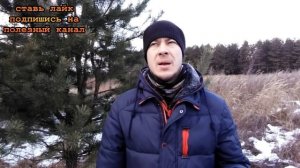 ★Как ОТБЕЛИТЬ ЛИЦО в домашних условиях. Действенные рецепты для эффективного ОТБЕЛИВАНИЯ ЛИЦА.