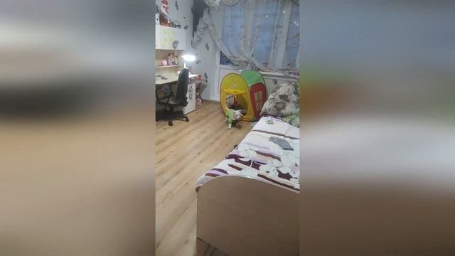 Белый щенок Лёпа ждёт своего хозяина!!!Пусть Новый год осуществит её мечту! смотреть онлайн