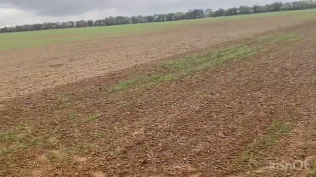 Так посеял шо теперь бороную ?️ смотреть онлайн